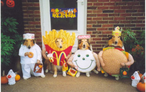 動物達のハロウィンコスチューム