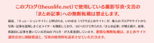 ブログ上の撮影写真・文言の無断転載を禁止します。特に、キュレーションメイディアの「まとめサイト」への無断転載は固くお断りします。