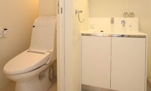 お酢で強力なトイレの水垢を全て取り去る