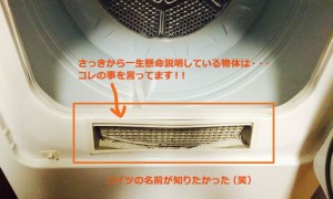 lint catcher 綿くず