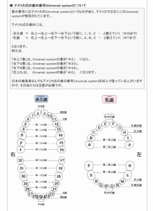 歯の番号表（引用）