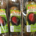 kumatoトマト