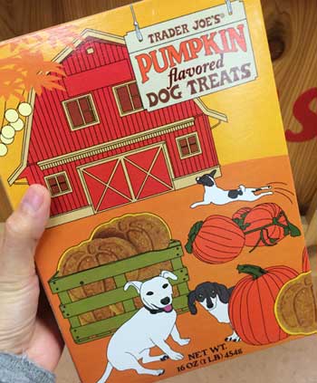 traderjoes-pumpkin-16