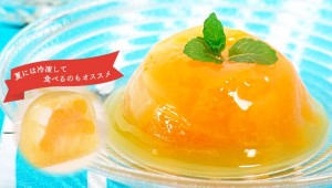 熊本のお土産ランキング9位：デコポンゼリー
