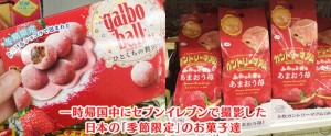 日本の季節限定お菓子
