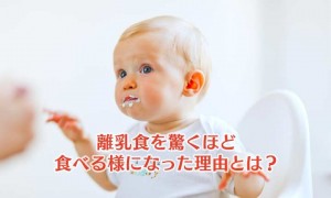 離乳食を驚くほど食べる様になった理由とは？