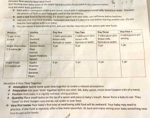 アメリカの離乳食の進め方