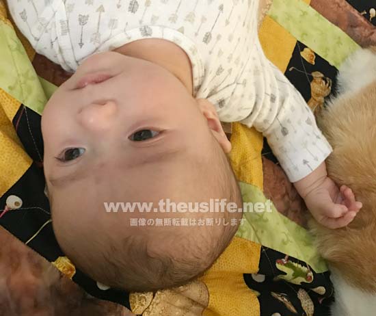 両目が二重まぶたの日米ハーフの生後二ヶ月目の赤ちゃんの顔