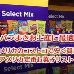 アメリカお土産でばらまき出来る大量買いできる、アメリカ定番お菓子リスト