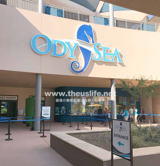 スコッツデールにあるOdySea Aquarium