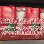 ウォルマートで買えるおすすめお土産メイン画像