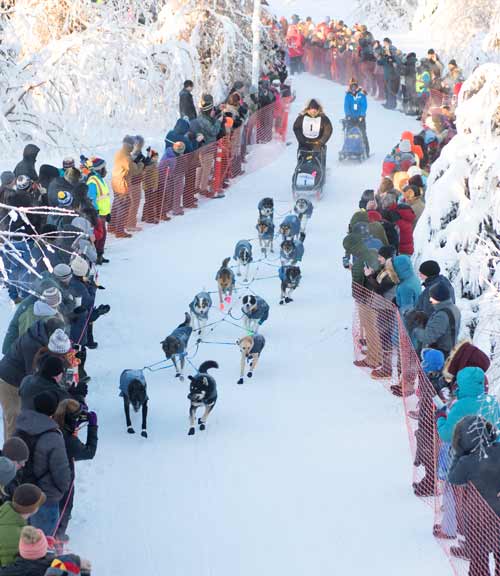 アラスカ犬ぞり