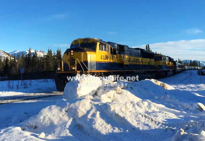 アラスカ鉄道 冬の風景