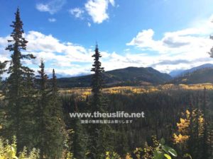 アラスカ鉄道から見た秋の風景