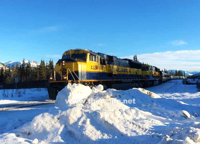 アラスカ鉄道 冬の風景